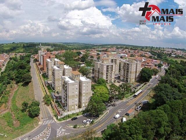 #TIPUANA22 - Apartamento para Venda em Campinas - SP - 1