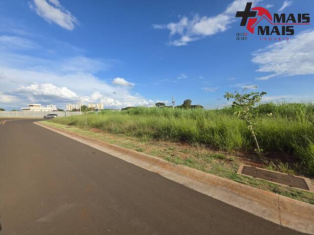 Área para Venda em Paulínia - 3